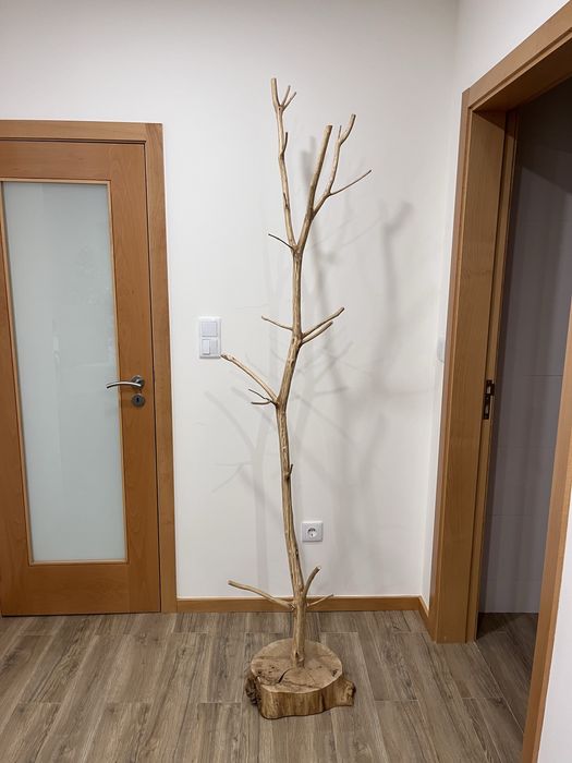 Bengaleiro único em Carvalho