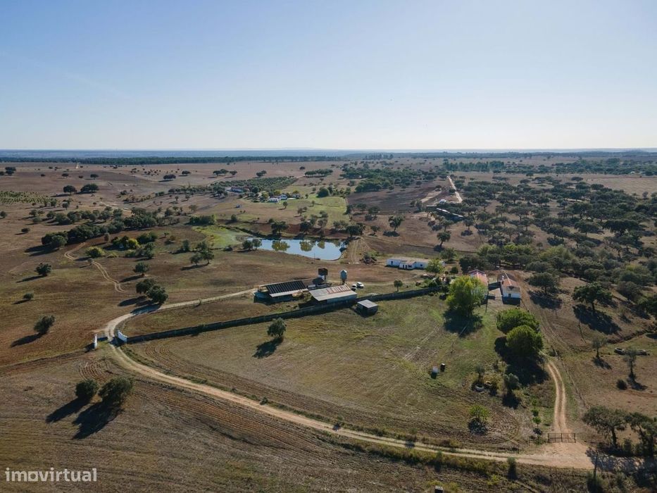 Monte À Venda, Um Refúgio Rural No Coração Do Alentejo