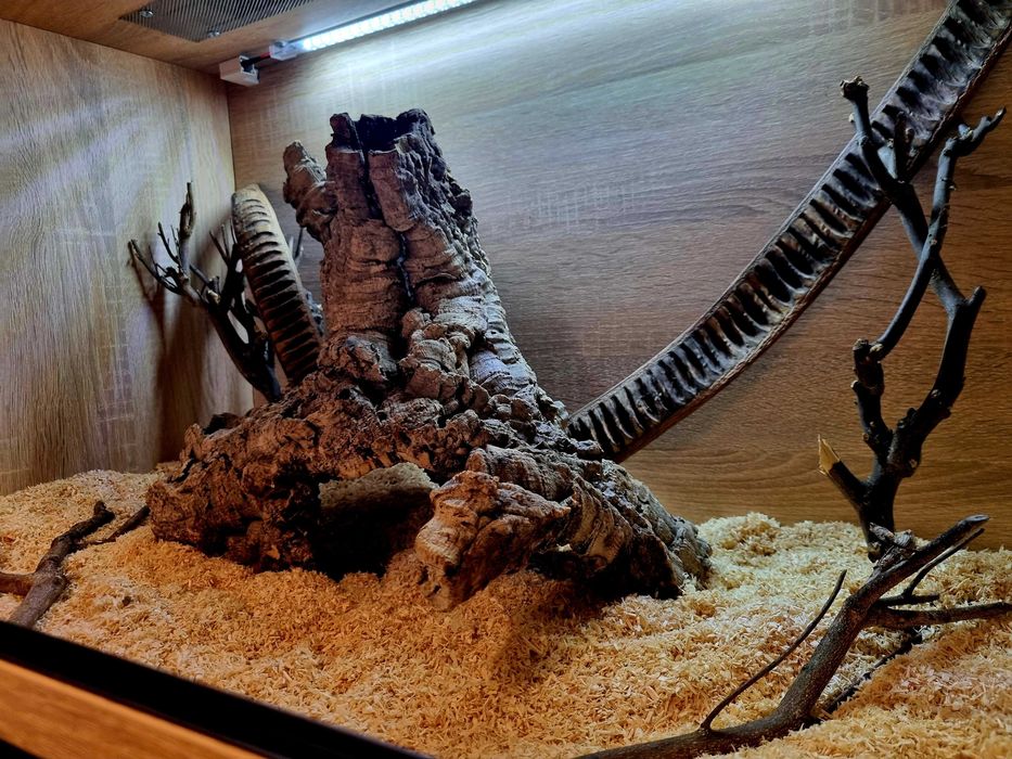 Terrarium 80x50x50 dla węża pytona boa