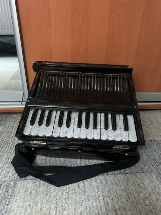 Фізгармонь Харінама/шруті бокс/ мантри