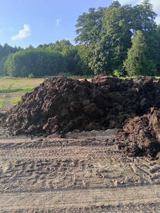 Obornik bydlęcy i kurzy