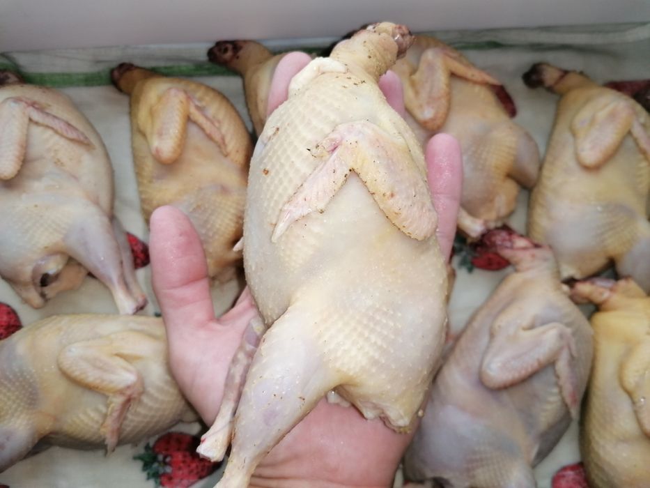 Своя Перепілка,добові,підрощі, сім'я,мясо