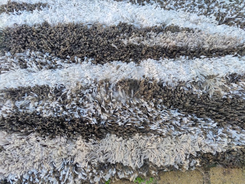 Dwa dywany shagi, okazja 79 zł