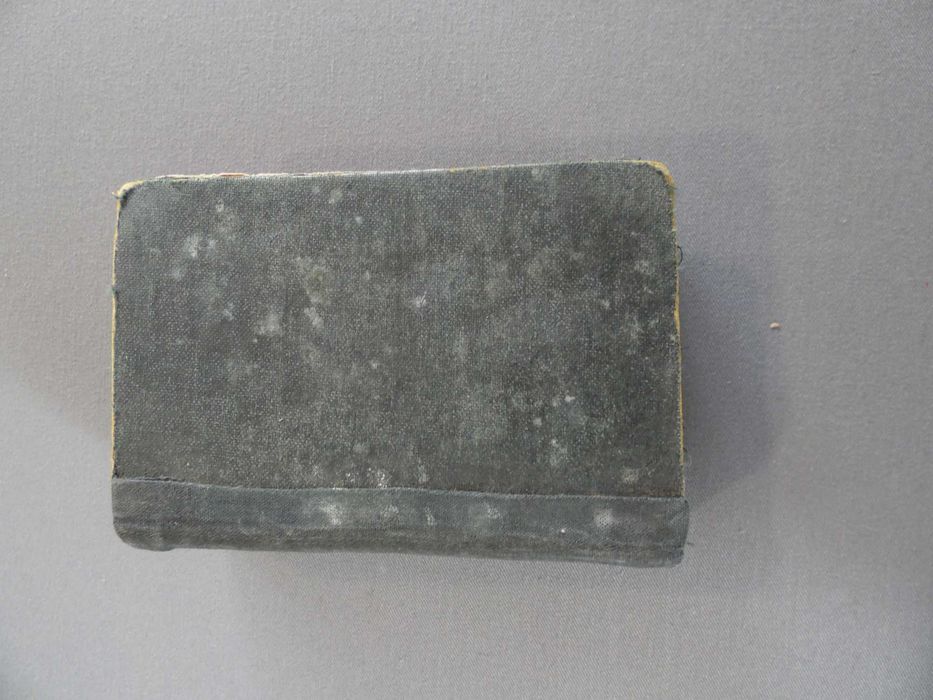 Livro A Alma aos Pés de Jesus, 1899