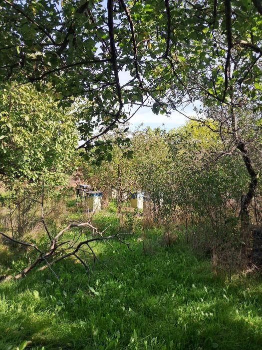 Продам будинок, село Калинівка