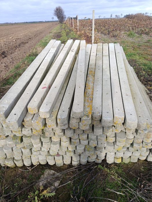 Slupki betonowe do malin