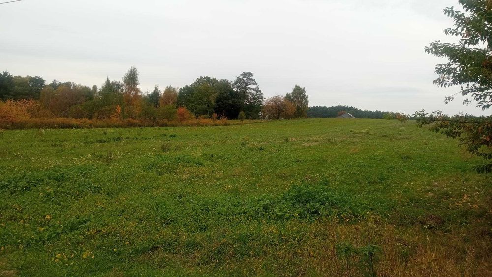 Działka Budowlana Bądzyń-Zofiówka 1 000 m 2