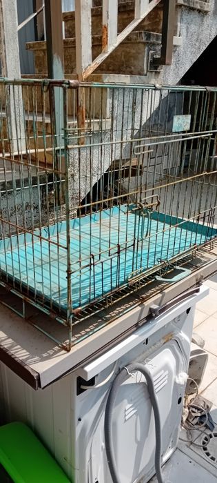 Gaiola grande. Robusta. Usada para papagaio