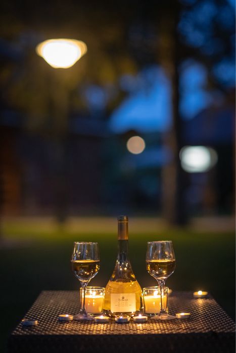 Apartamenty przy winnicy Wegry Bogacs. Mowimy po Polsku