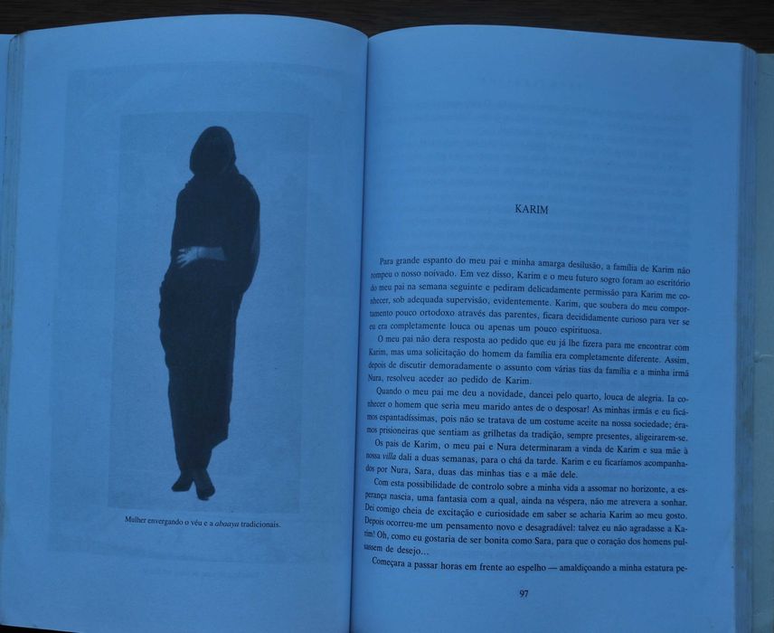 Sultana A Vida de Uma Princesa Árabe de Jean P. Sasson