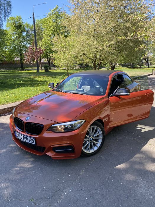 BMW 2 Series 2014 VIN WBA1F5C52EVV99689 фото оголошення 6 з 13