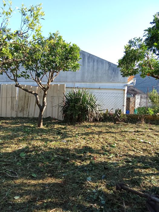 Limpeza de terrenos,jardins entre outros