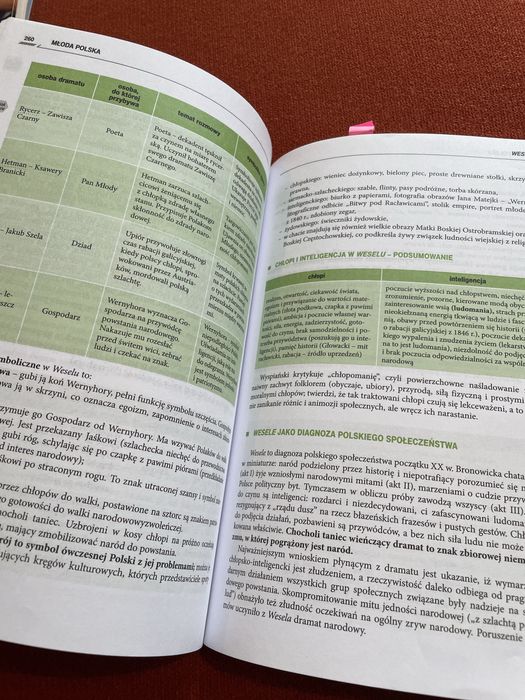 Repetytorium język polski Greg