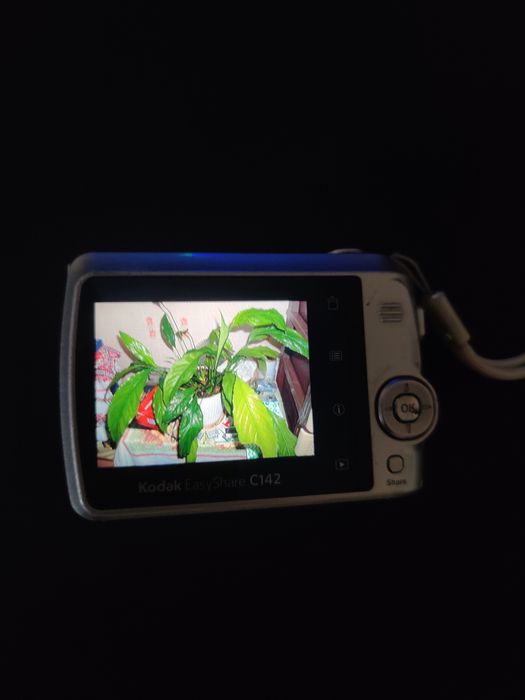 Kodak EasyShare C 142 Silver Вінтажна Мильниця фотоапарат фотокамера!