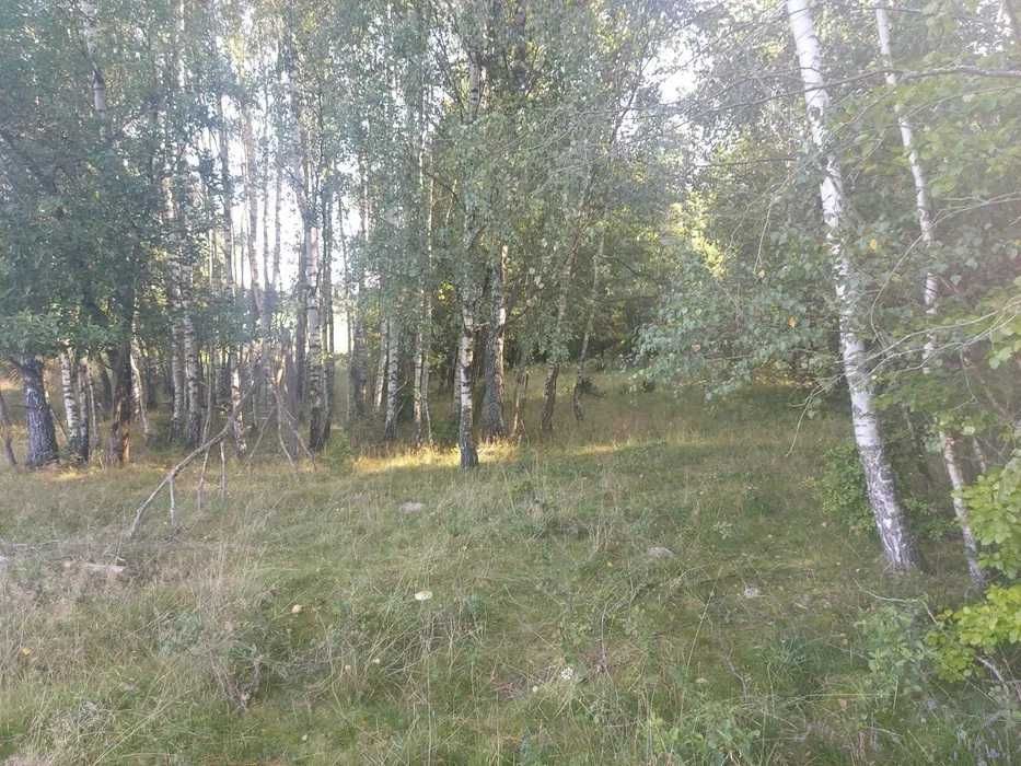 Działka budowlana Pomlewo