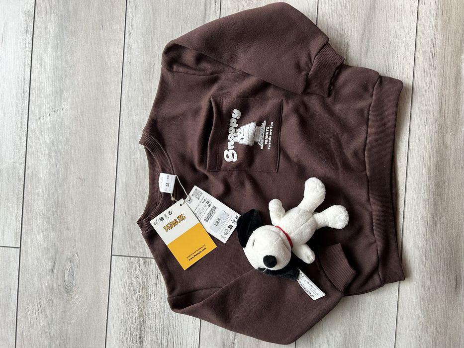 Brązowa ocieplana bluza dla chłopca Zara r.116 Snoopy z pluszakiem