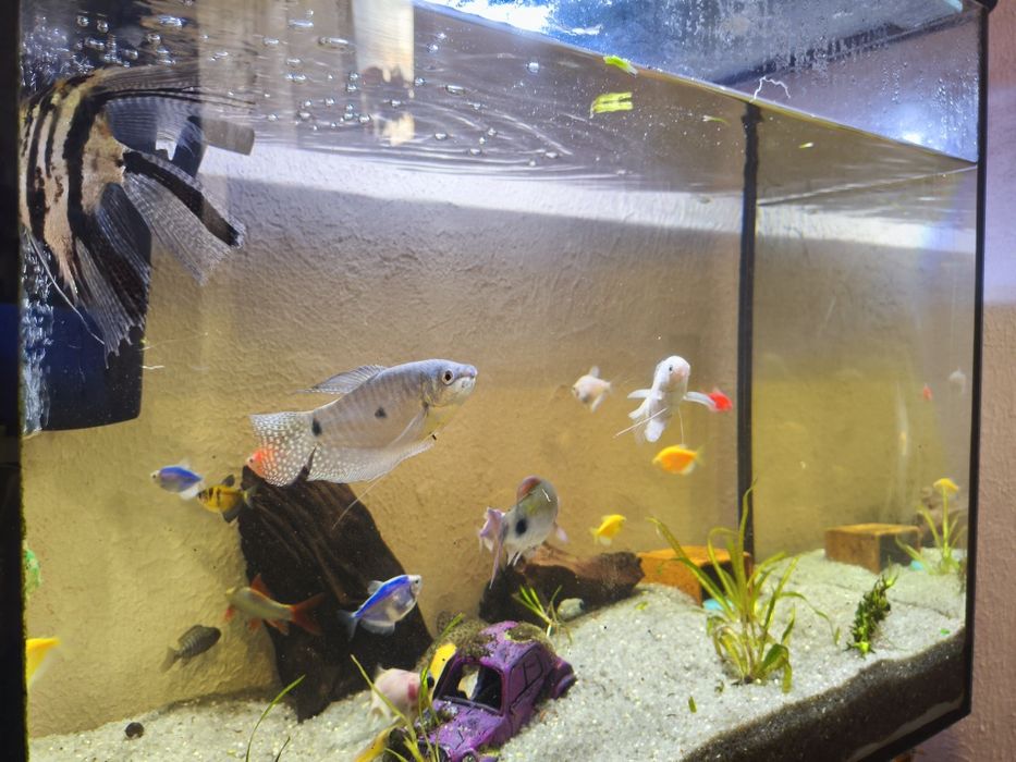 СРОЧНО!!! Продам великий акваріум 150л аквариум