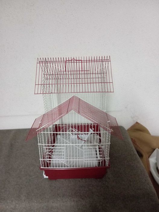Gaiola para Pássaros pequenos