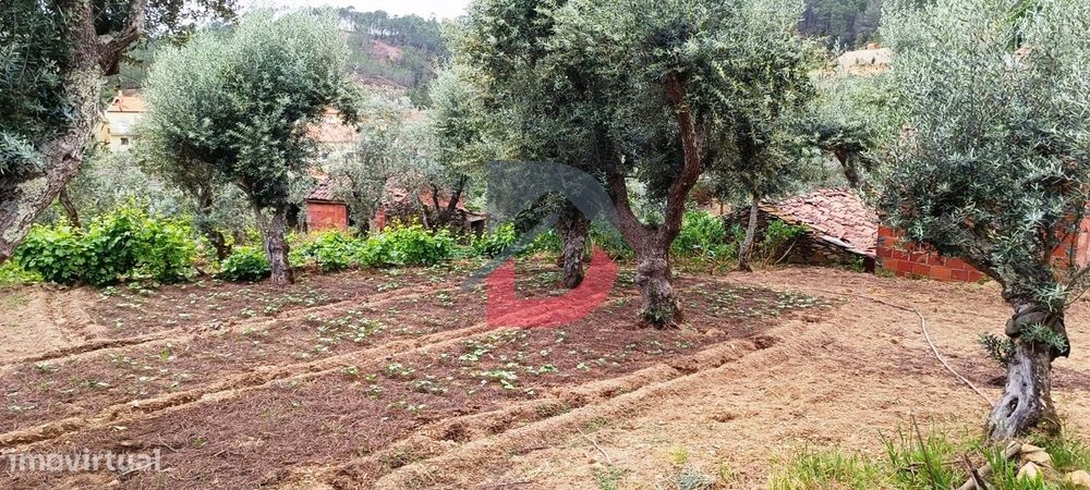 Quinta, 960 m2