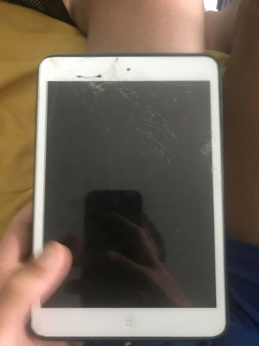 Apple iPad Mini 1456650588936611842