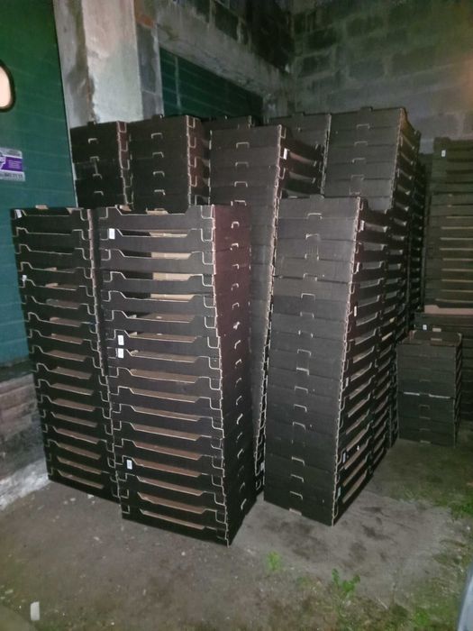 Kartony na maliny pączki ciastka ciasta