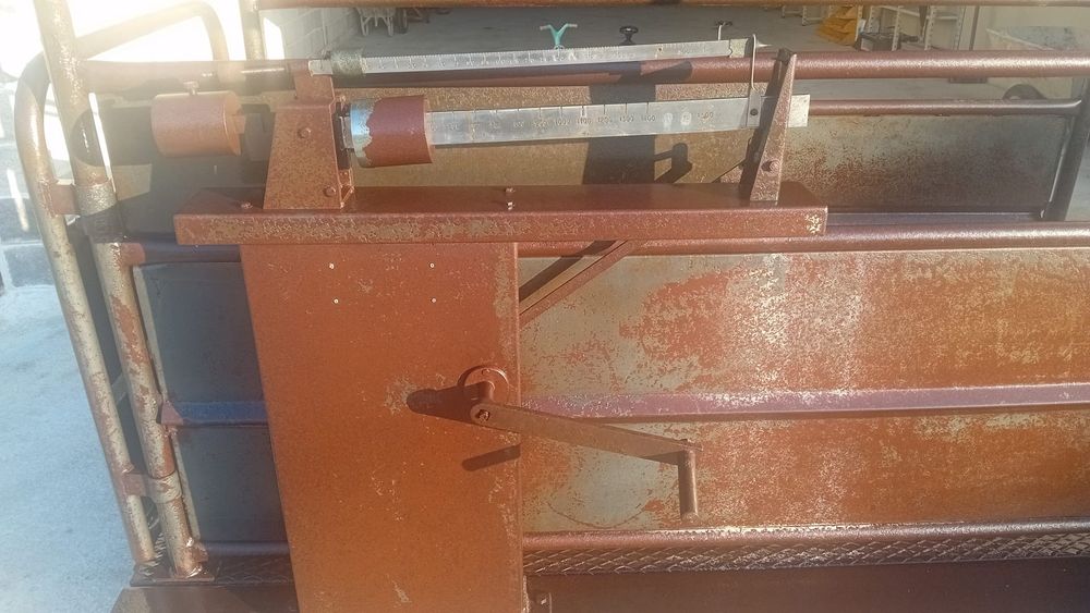 Balanca cabral 1500kg