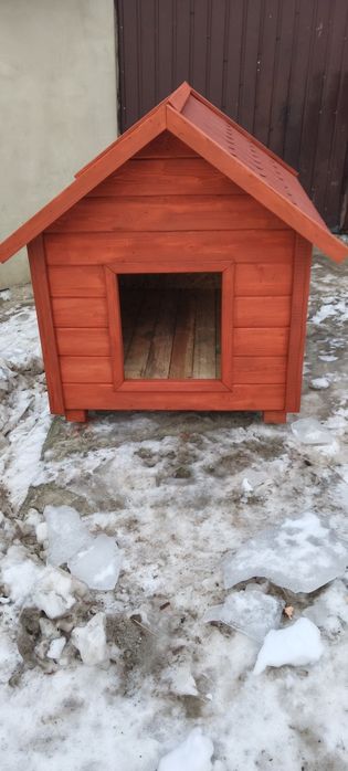 Buda dla dużego psa