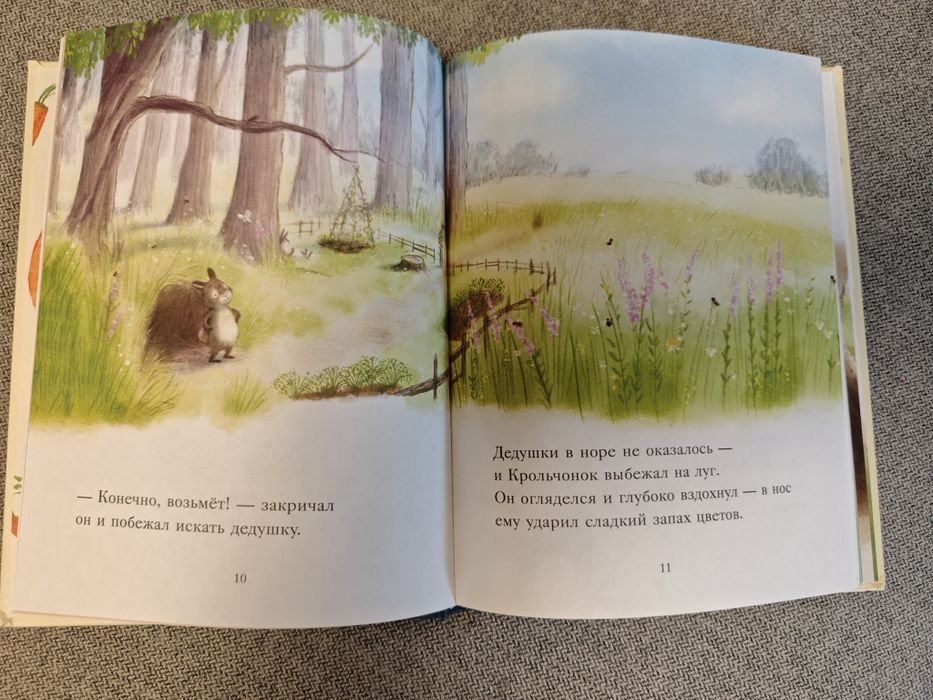 Książka dla dzieci: „Большой сюрприз для маленького кролика” (po rosyjsku)