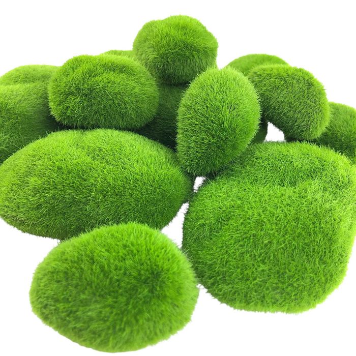Kamień pokryty mchem – Moss Stone 4-9cm 1szt