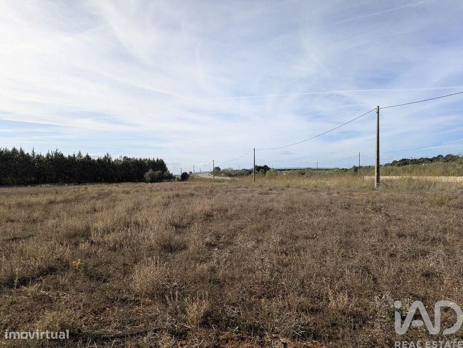 Terreno Agrícola em Estremoz