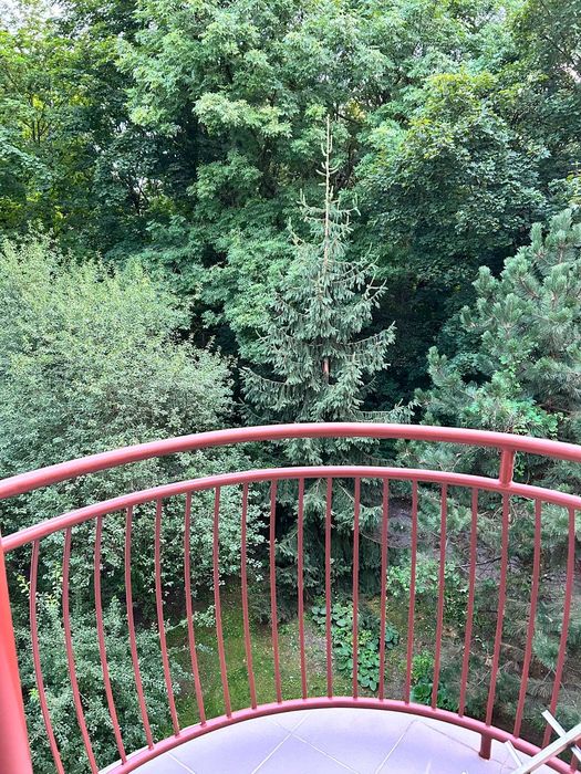 Mieszkanie – Toruń, Przedmieście Świętej Katarzyny, Stare Miasto - Widok 5