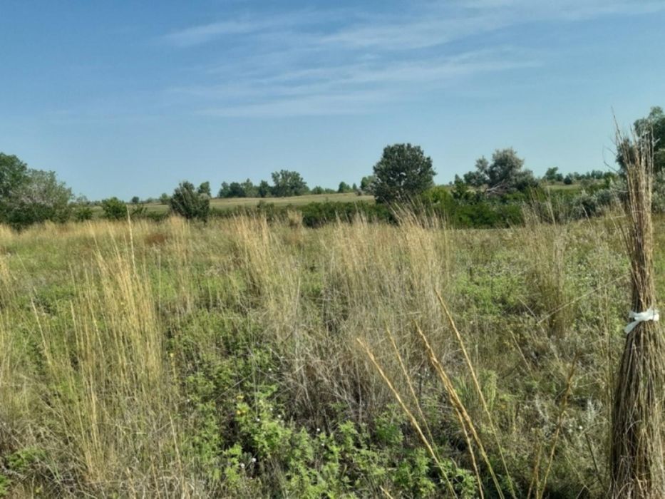 Продам 25c.  берег Орели с. Елизаветовка