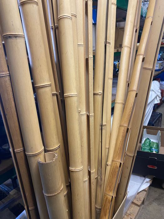 Bambus para decoração