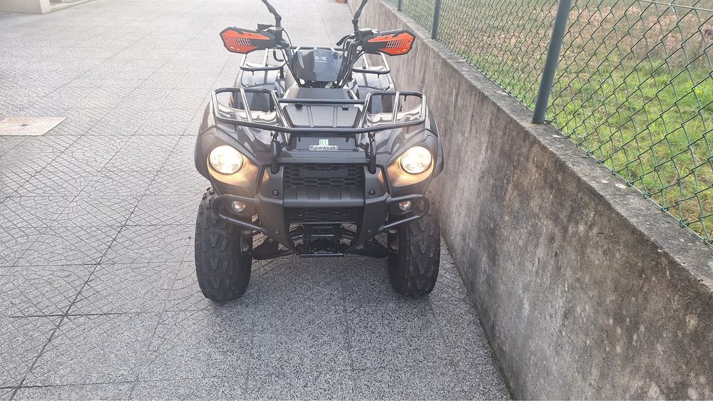 Kawasaki brute force