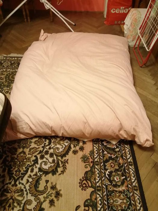 Pierzyna z piór gesich