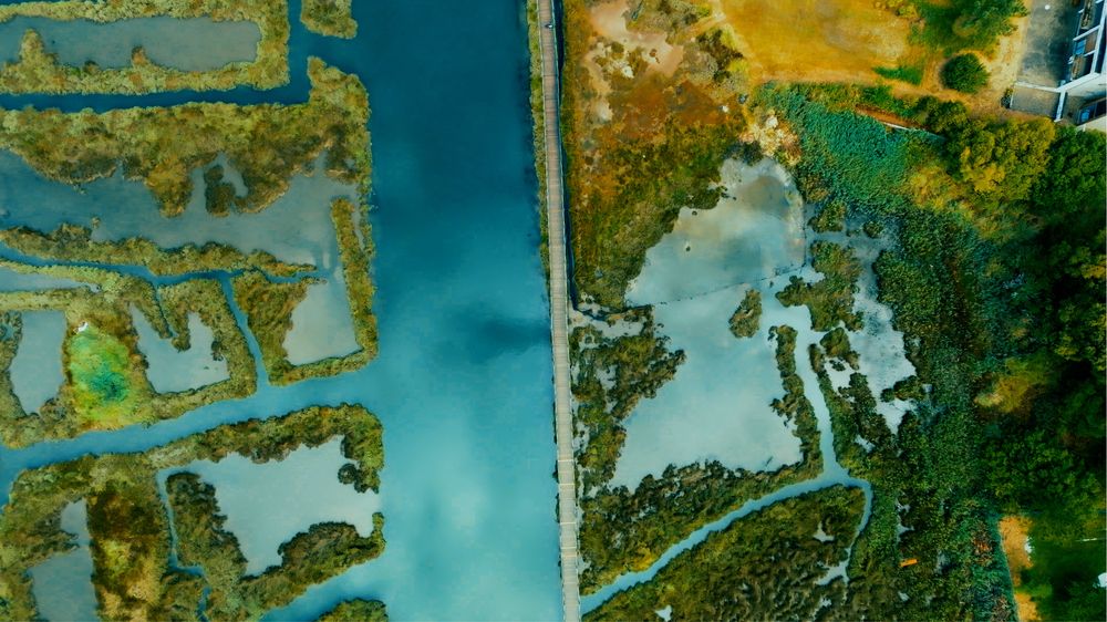 Videógrafo e Fotografo + Drone