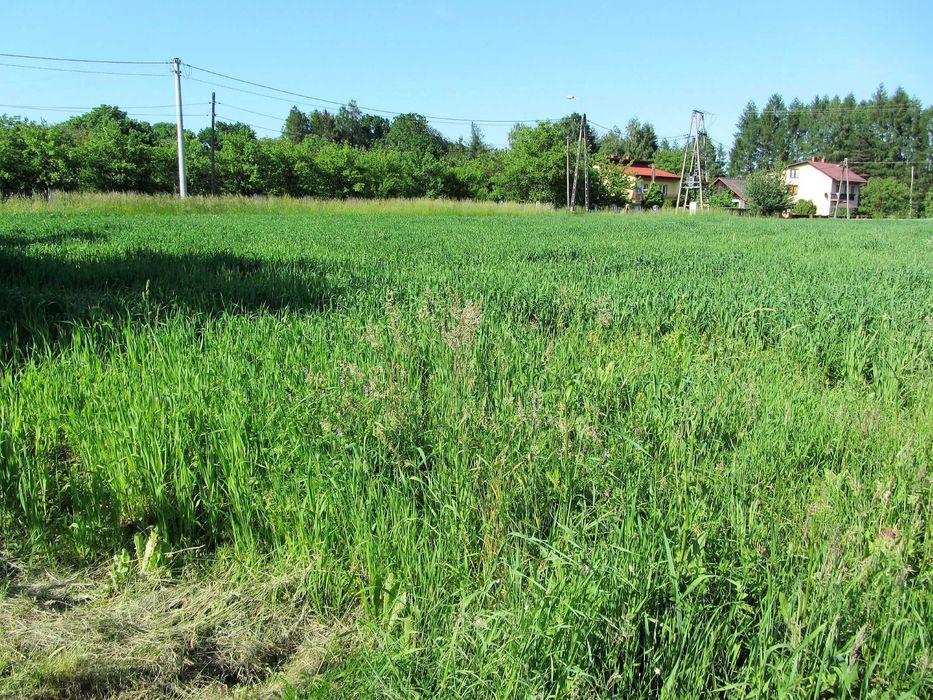 Działka budowlana Pogwizdów ul. Sosnowa