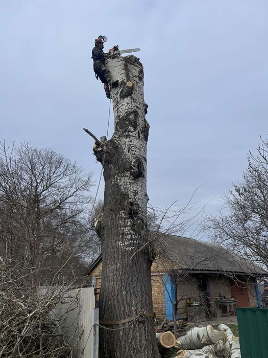 Зрізання аварійних дерев.Порізка на дров.а.Подрібнення гілля.
