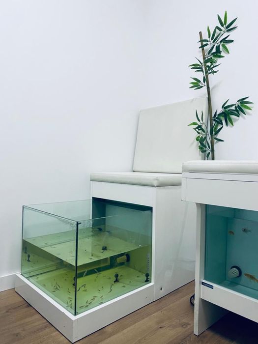 Aquarios Ictioterapia