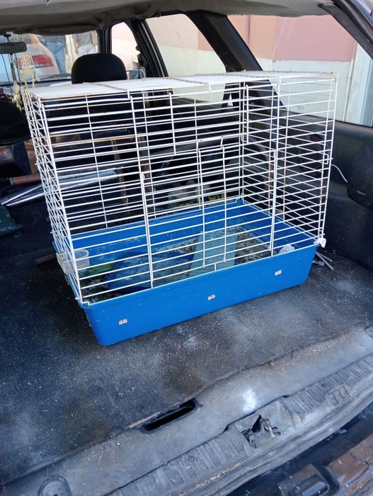 Gaiola grande em bom estado