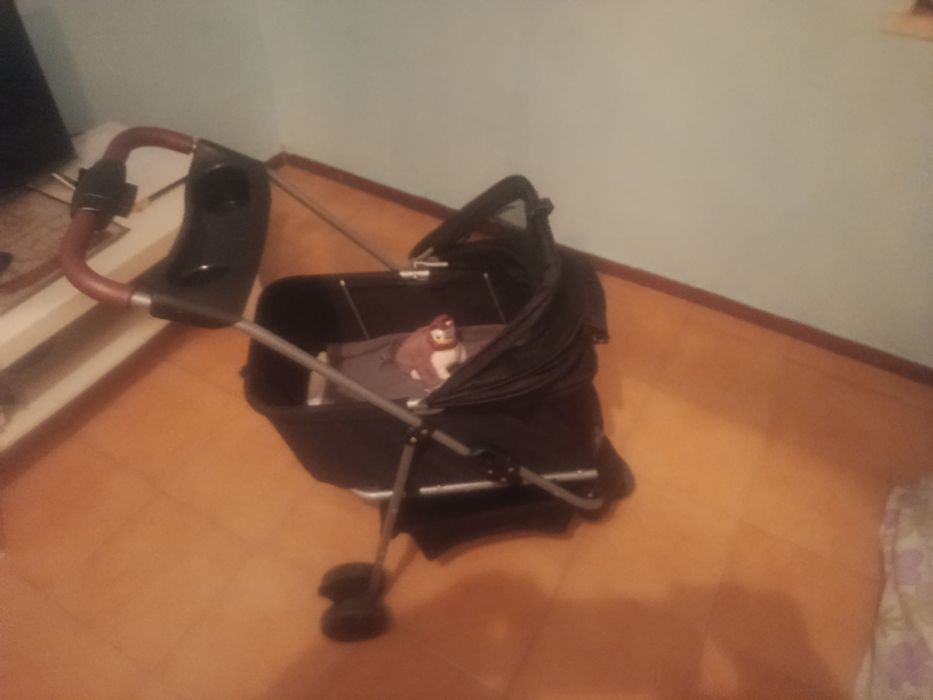 Carrinho de passeio de animais