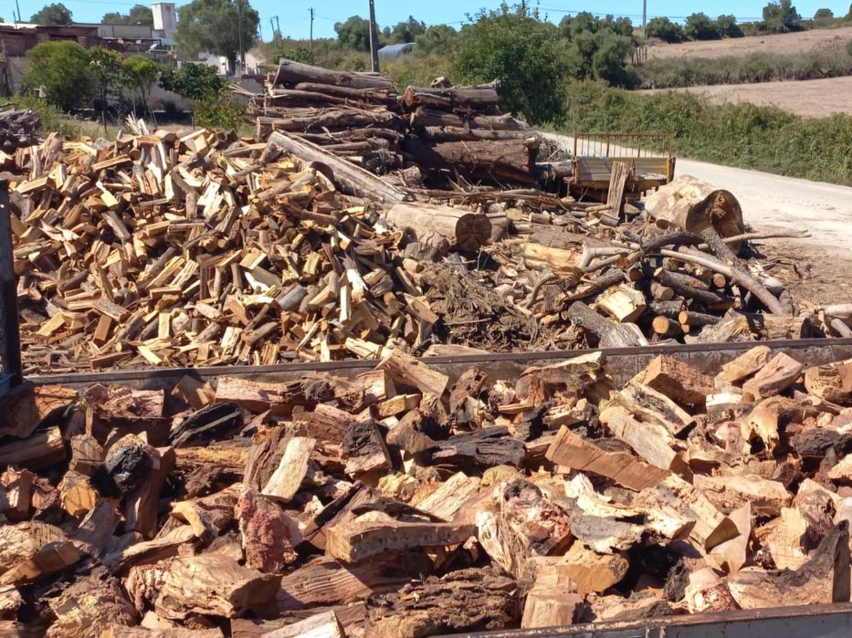 Lenha seca para lareira