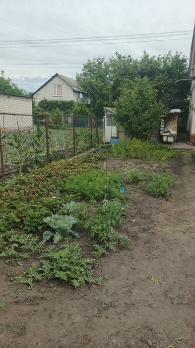 Продаж  дачної ділянки з будинком біля  Дніпра, кооператив " Чайка 2"