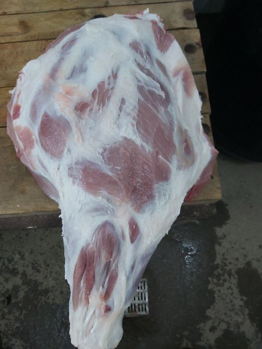 Półtusze wieprzowe