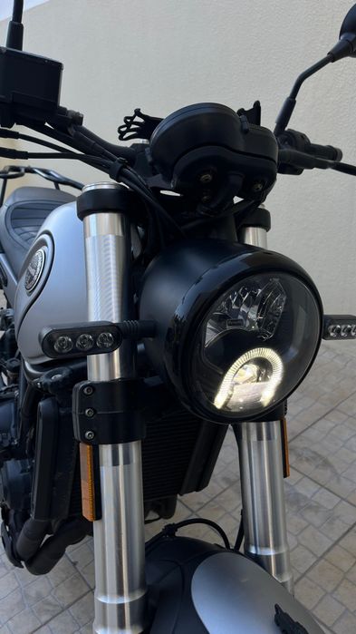 Benelli Leoncino 500 - 2022