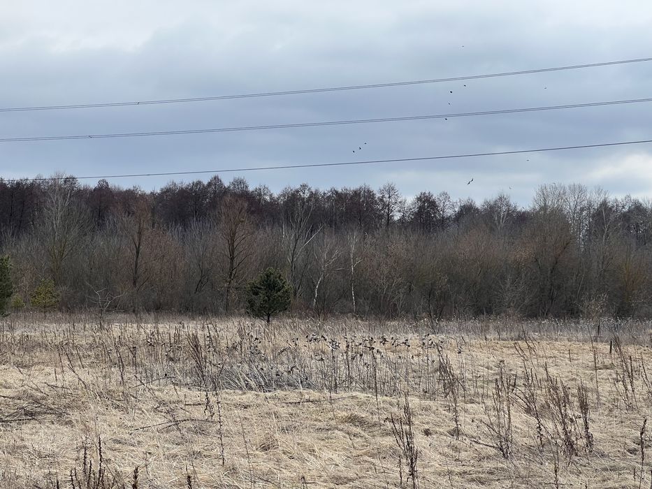 Пр уч зем 13сЗазииье село новый масив!