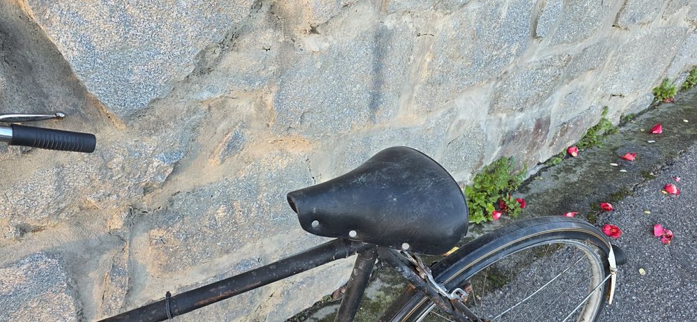 Bicicleta Pasteleira Esmaltina Super Luxo