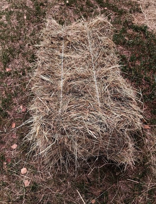 Сіно лугове, різнотрав'я (тюки).