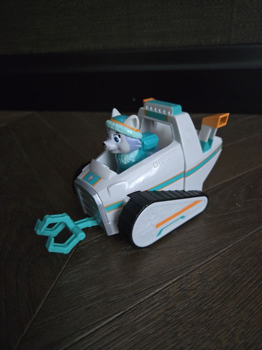 Psi Patrol Everest