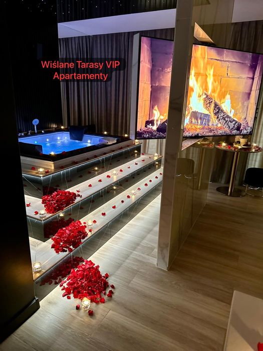 Kraków VIP Apartamenty z JACUZZI- Garaż- WIŚLANE TARASY 2.0